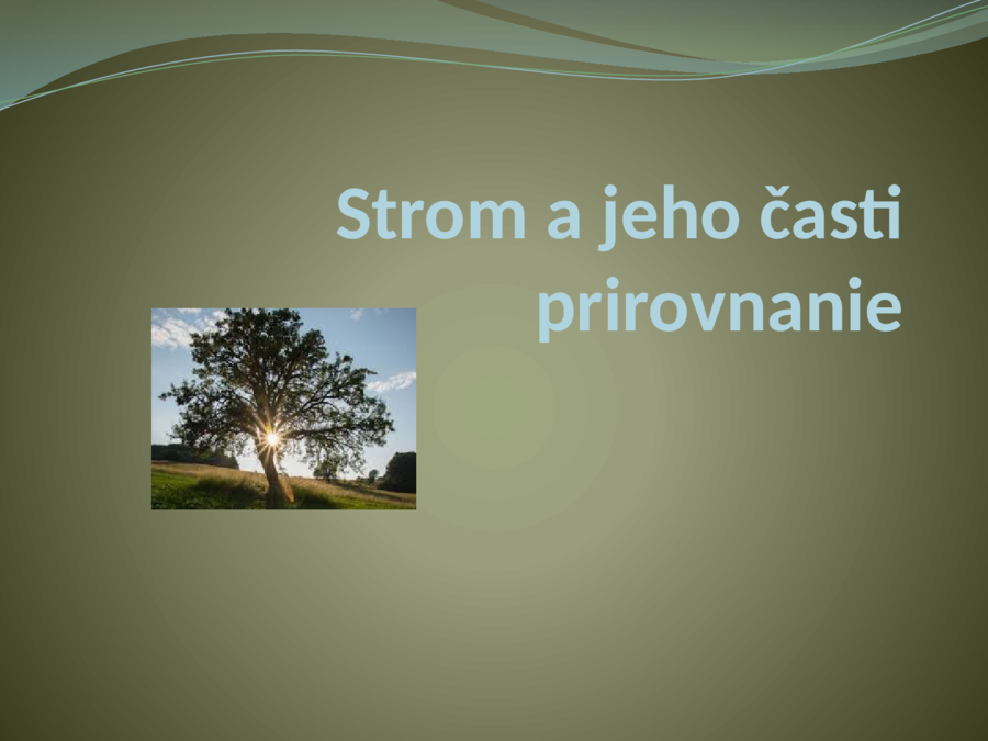 Boh ako strom a jeho časti